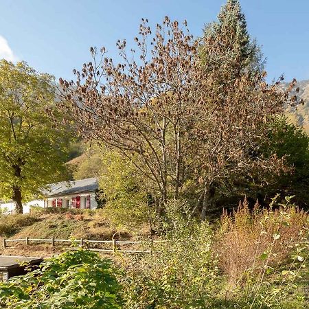 Comfortable Farm House Petit Barzun, In The Parc National Pyrenees 巴里吉斯 外观 照片