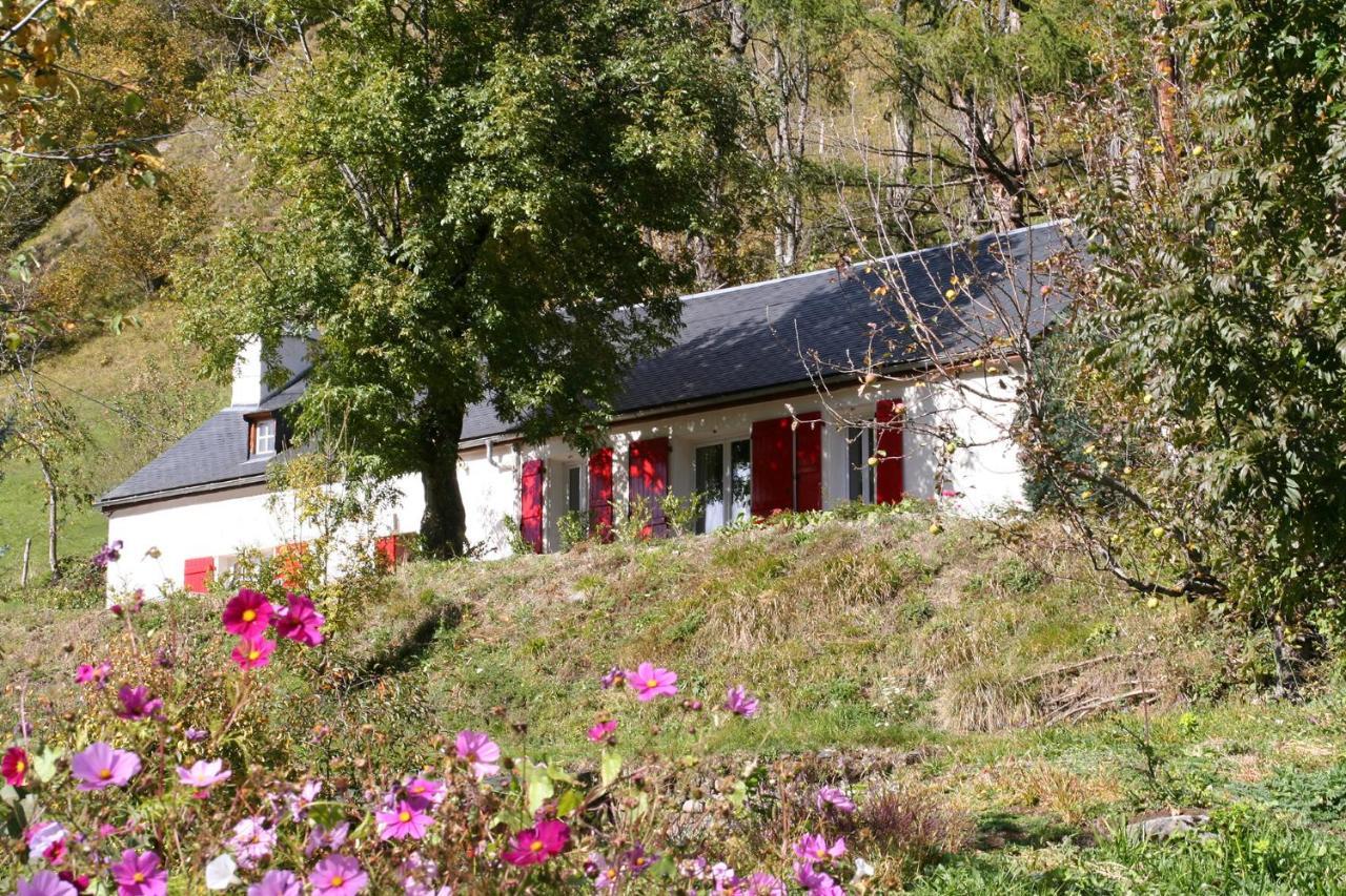 Comfortable Farm House Petit Barzun, In The Parc National Pyrenees 巴里吉斯 外观 照片