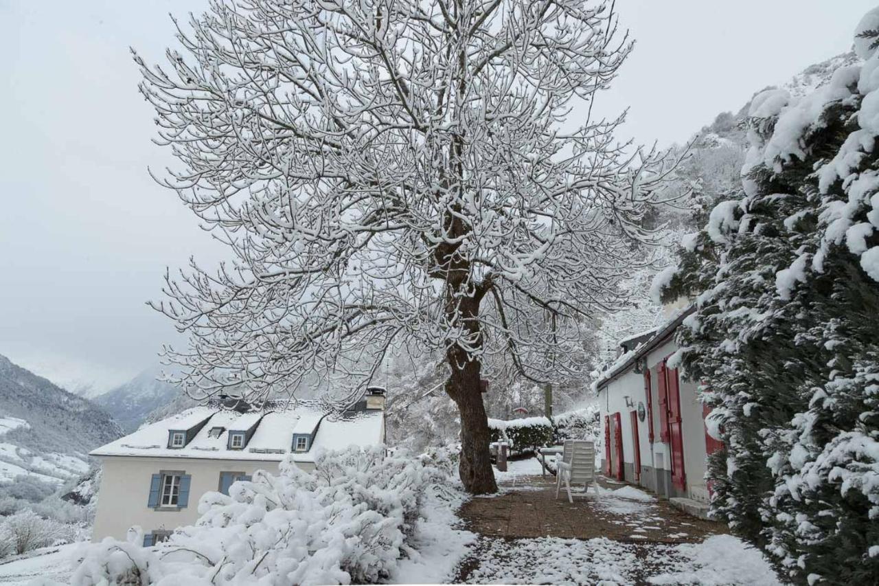 Comfortable Farm House Petit Barzun, In The Parc National Pyrenees 巴里吉斯 外观 照片
